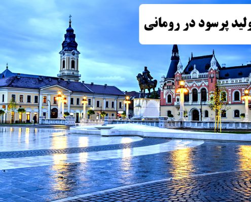 ✔️ خط تولید پر سود در رومانی  ✔️ مهاجرت به رومانی  ✔️ مهاجرت کاری به رومانی   ✔️ تابعیت کشور رومانی  ✔️ زندگی در رومانی