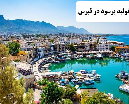 ✔️ خط تولید پرسود در قبرس  ✔️ مهاجرت به قبرس  ✔️ مهاجرت کاری به قبرس  ✔️ کار در قبرس  ✔️ اقامت در قبرس