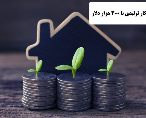 ✔️ کار تولیدی با 300 هزار دلار  ✔️ با 300 هزار دلار چه کاری می توان انجام داد ؟  ✔️ سرمایه گذاری با 300 هزار دلار   ✔️  درآمد خوب با 300 هزار دلار  ✔️ احداث خط تولید با 300 هزار دلار