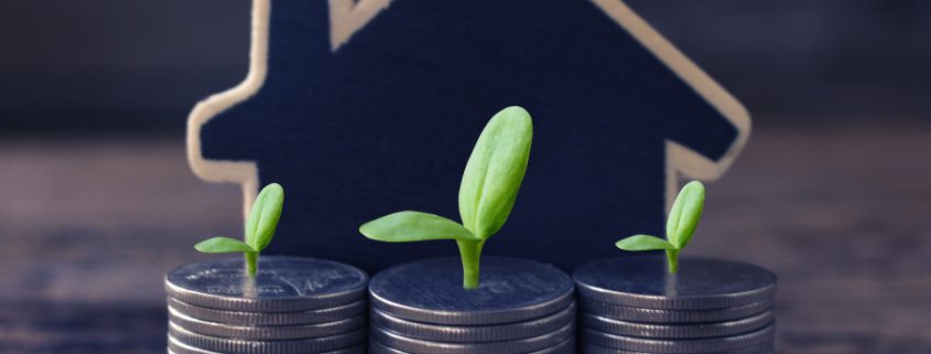 ✔️ کار تولیدی با 300 هزار دلار  ✔️ با 300 هزار دلار چه کاری می توان انجام داد ؟  ✔️ سرمایه گذاری با 300 هزار دلار   ✔️  درآمد خوب با 300 هزار دلار  ✔️ احداث خط تولید با 300 هزار دلار