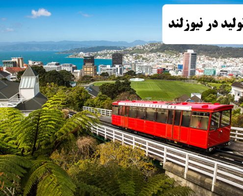 ✔️ خط تولید در نیوزلند  ✔️ مهاجرت به نیوزلند  ✔️ مهاجرت کاری به نیوزلند  ✔️ نرخ بیکاری در کشور نیوزلند  ✔️ مزایای زندگی در کشور نیوزلند