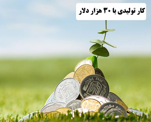 ✔️ کار تولیدی با 30 هزار دلار  ✔️ با 30 هزار دلار چه کاری می توان انجام داد ؟  ✔️ سرمایه گذاری با 30 هزار دلار   ✔️  درآمد خوب با 30 هزار دلار  ✔️ احداث خط تولید با 30 هزار دلار