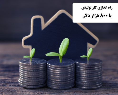 ✔️ کار تولیدی با 800 هزار دلار  ✔️ با 800 هزار دلار چه کاری می توان انجام داد ؟  ✔️ سرمایه گذاری با 800 هزار دلار   ✔️  درآمد خوب با 800 هزار دلار  ✔️ احداث خط تولید با 800 هزار دلار