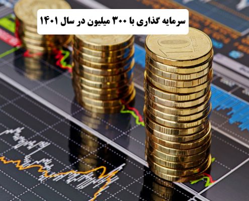 بهترین کار با 300 میلیون در سال 1400    ✔️ بهترین راه برای سرمایه گذاری با 300 میلیون در سال 1400  ✔️ سرمایه گذاری با 300 میلیون در سال 1400   ✔️ راه اندازی کار تولیدی با 300 میلیون در سال 1400