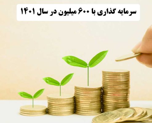 بهترین کار با 600 میلیون در سال 1400    ✔️ بهترین راه برای سرمایه گذاری با 600 میلیون در سال 1400  ✔️ سرمایه گذاری با 600 میلیون در سال 1400   ✔️ راه اندازی کار تولیدی با 600 میلیون در سال 1400