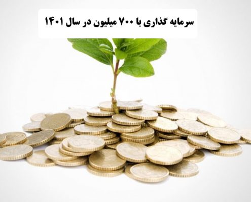 بهترین کار با 700 میلیون در سال 1400    ✔️ بهترین راه برای سرمایه گذاری با 700 میلیون در سال 1400  ✔️ سرمایه گذاری با 700 میلیون در سال 1400   ✔️ راه اندازی کار تولیدی با 700 میلیون در سال 1400