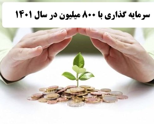 بهترین کار با 800 میلیون در سال 1400    ✔️ بهترین راه برای سرمایه گذاری با 800 میلیون در سال 1400  ✔️ سرمایه گذاری با 800 میلیون در سال 1400   ✔️ راه اندازی کار تولیدی با 800 میلیون در سال 1400