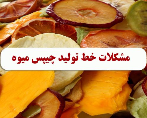 مشکلات خط تولید چیپس میوه