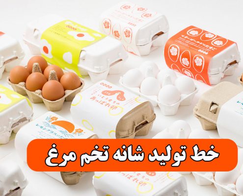 خط تولید شانه تخم مرغ