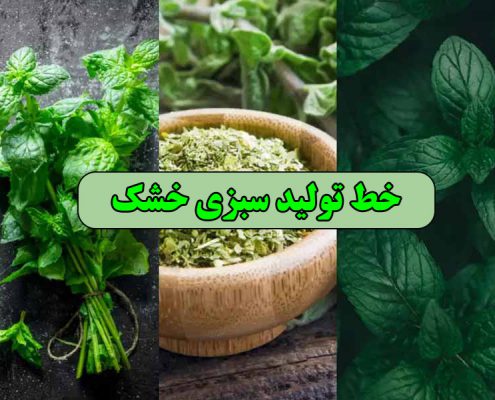 خط تولید سبزی خشک