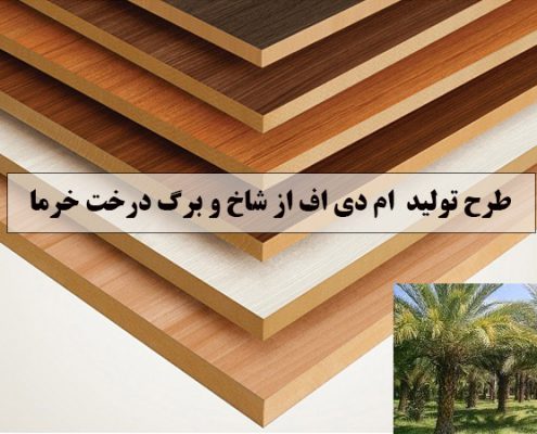 طرح تولید MDF از شاخ و برگ درخت خرما