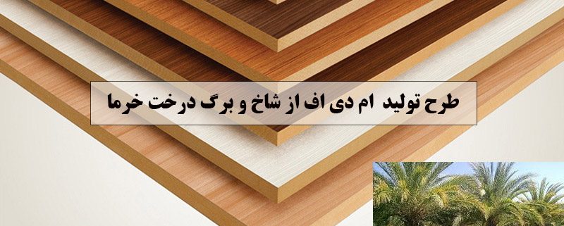 طرح تولید MDF از شاخ و برگ درخت خرما