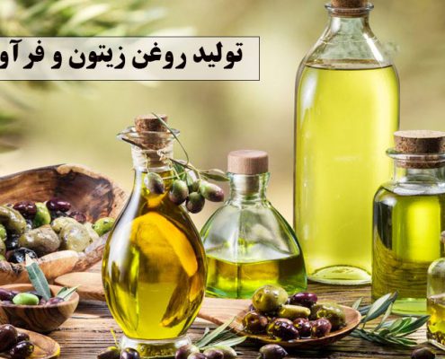 تولید روغن زیتون و فرآوری آن