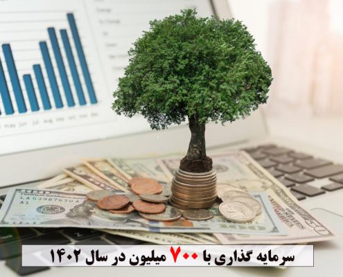 سرمایه گذاری با 700 میلیون در سال 1402