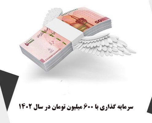 سرمایه گذاری با 600 میلیون تومان در سال 1402