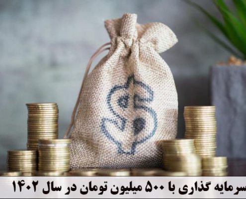 سرمایه گذاری با 500 میلیون تومان در سال 1402