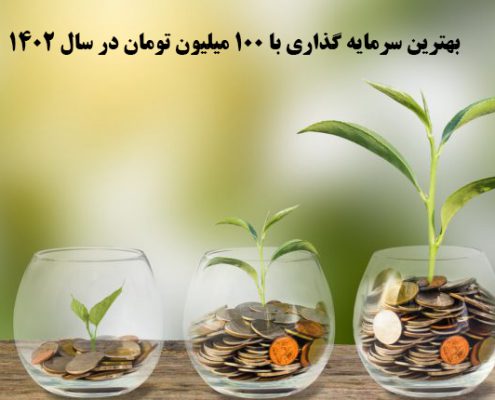 بهترین سرمایه گذاری با 100 میلیون تومان در سال 1402