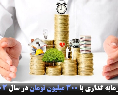 سرمایه گذاری با 300 میلیون تومان در سال 1403