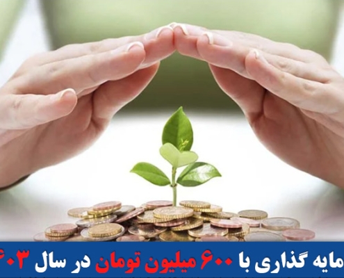 سرمایه گذاری با 600 میلیون تومان در سال 1403
