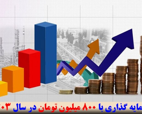 سرمایه گذاری با 800 میلیون تومان در سال 1403