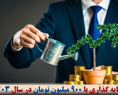 سرمایه گذاری با 900 میلیون تومان در سال 1403