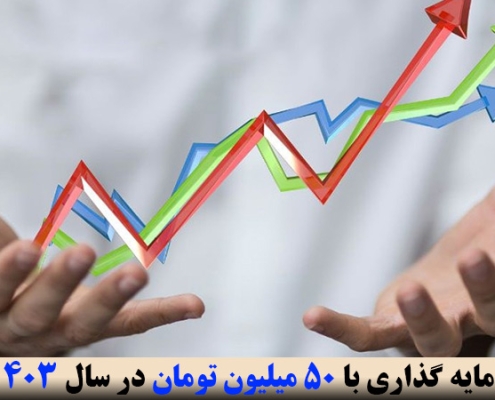 سرمایه گذاری با 50 میلیون تومان در سال 1403
