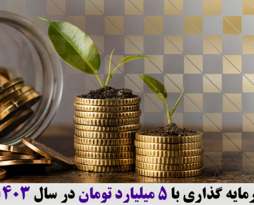 سرمایه گذاری با 5 میلیارد تومان در سال 1403