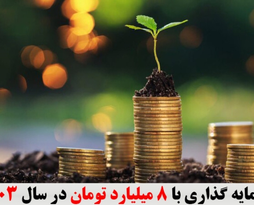 سرمایه گذاری با 8 میلیارد تومان در سال 1403