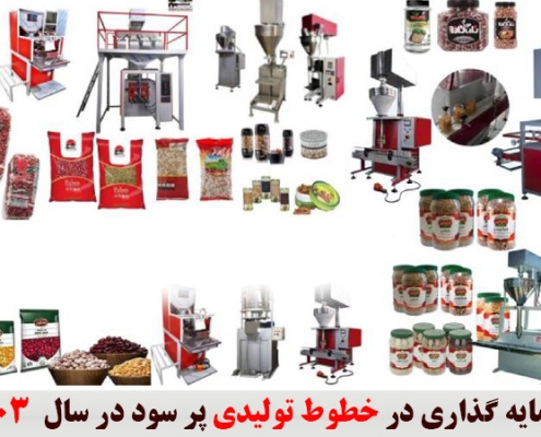 سرمایه گذاری در خطوط تولیدی پر سود در سال 1403