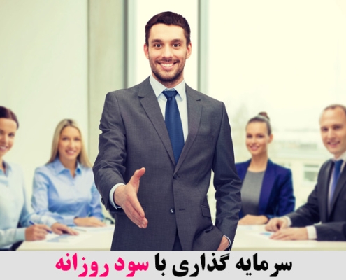 سرمایه گذاری با سود روزانه