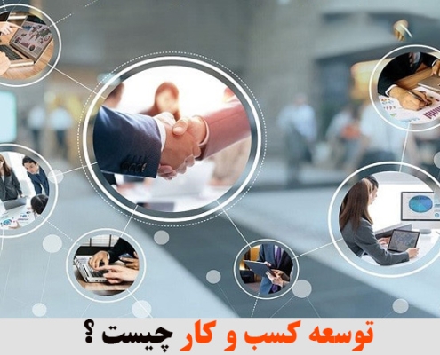 توسعه کسب و کار چیست